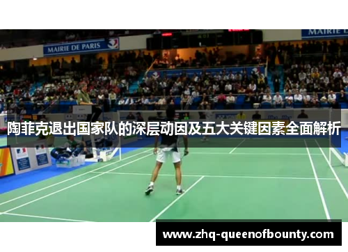 陶菲克退出国家队的深层动因及五大关键因素全面解析