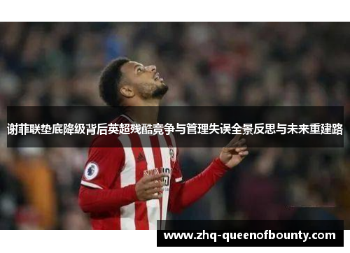 谢菲联垫底降级背后英超残酷竞争与管理失误全景反思与未来重建路